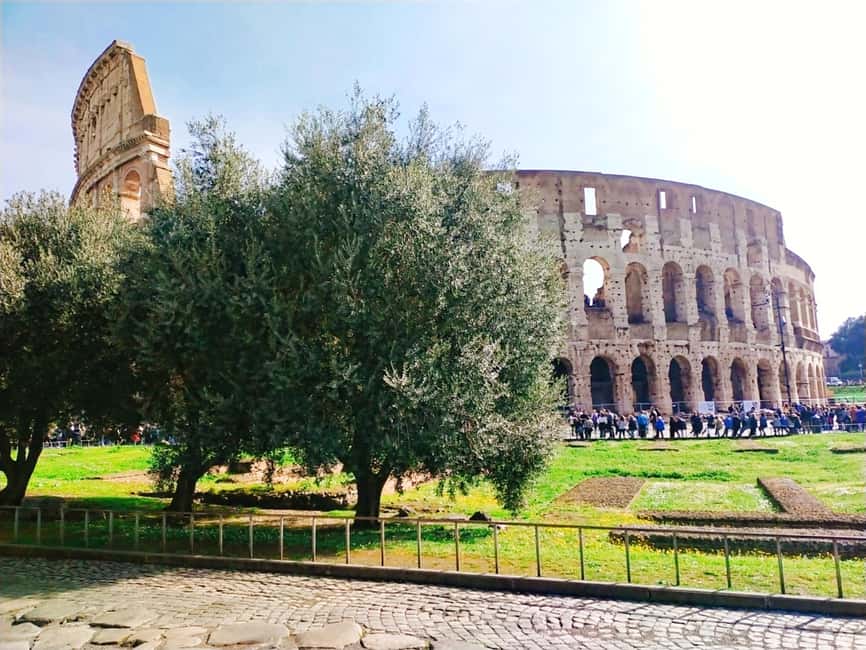 Rome: Masterclass Extra Virgin Olive Oil & Table Olives - How the Sensory Tasting Works
