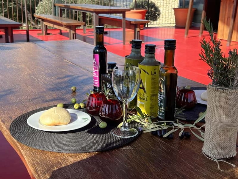 Ronda: LA Almazara LA Organic, Olive Oil Museum and Tasting - Key points to know before you go