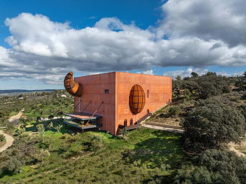 Ronda: LA Almazara LA Organic, Olive Oil Museum and Tasting - Learning to taste olive oil like an expert