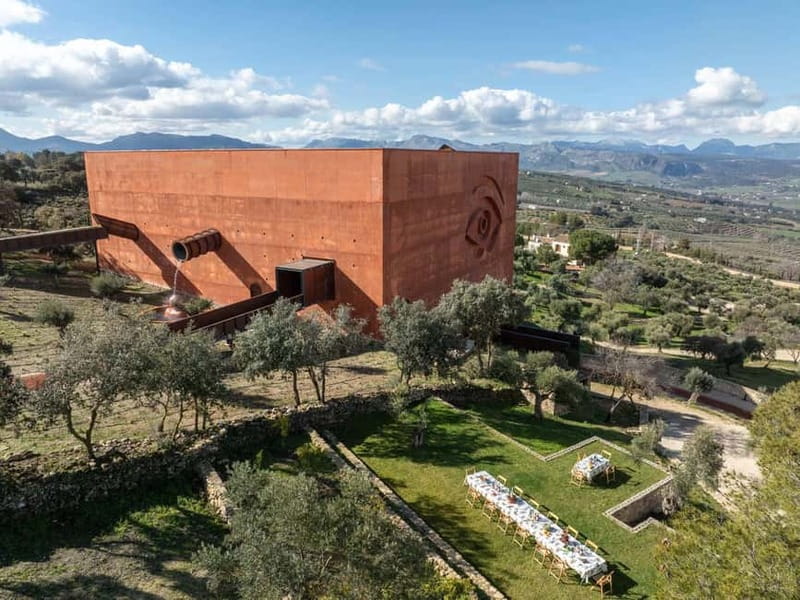Ronda: LA Almazara LA Organic, Olive Oil Museum and Tasting - Lunch, wine, and the terrace after the tour