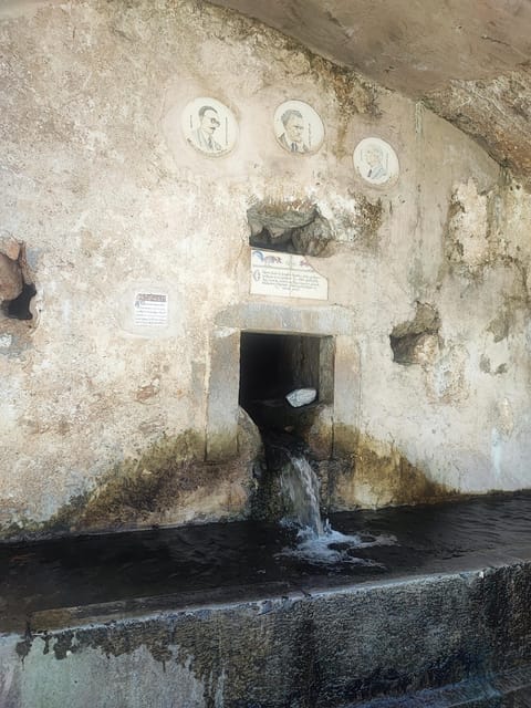 Safari:Lasithi plateau, Mythology park,olive oil tasting - The guide and the feel of the day