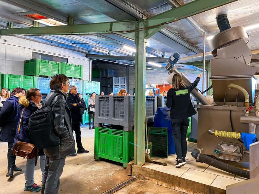 Saint Gilles: Visit an olive oil mill in an organic olive grove - A working olive mill in the Costières countryside
