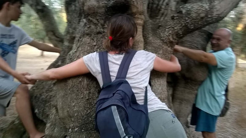 Salento: Olive Oil Mill Walking Tour with Tastings - Meeting a ninth-generation olive oil family in Miggiano