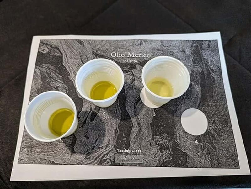 Salento: Olive Oil Mill Walking Tour with Tastings - How the two-hour schedule works