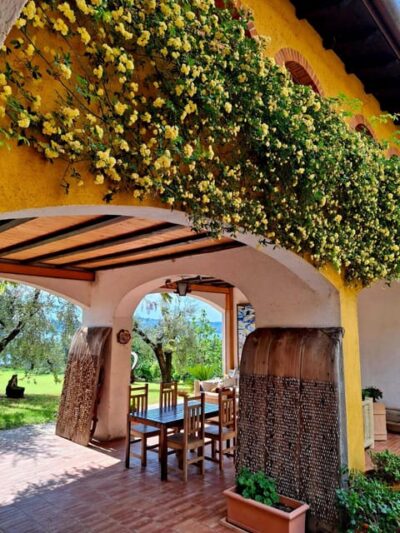 San Felice: Olive Oil Tasting with local food on Garda Hills