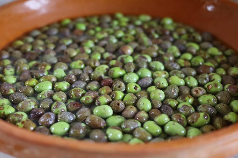 San Felice: Olive Oil Tasting with local food on Garda Hills - Dietary limits you should take seriously