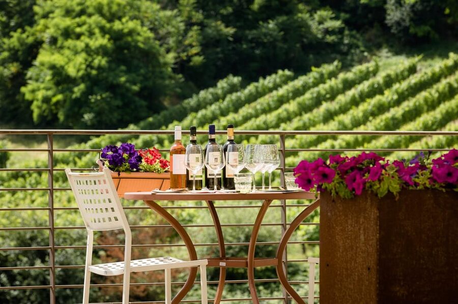 San Gimignano: Winery Visit with Picnic in Olive Grove - Key points to know before booking