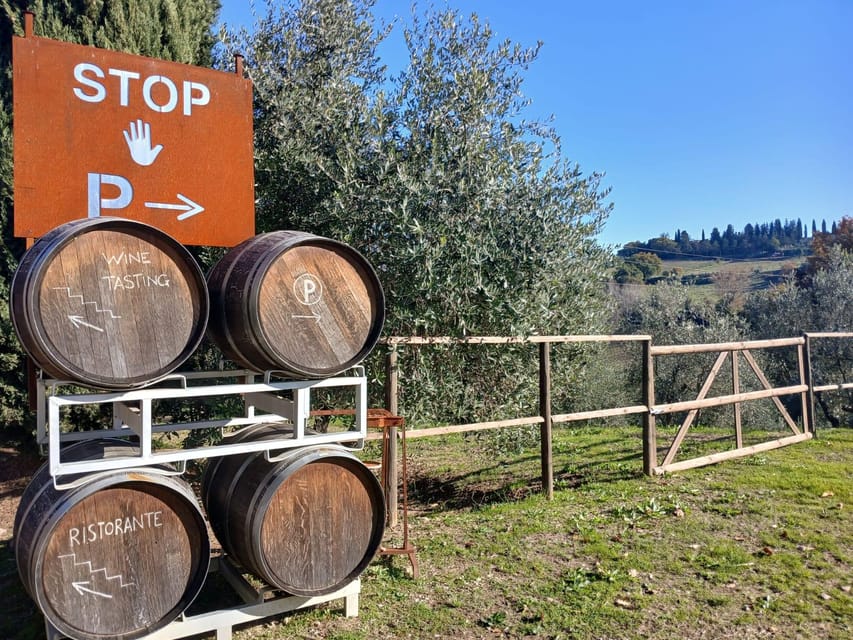 San Gimignano: Winery Visit with Picnic in Olive Grove - Is $59 a fair price?