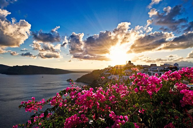 Santorini: 6hr Private Tour with Olive Oil, Beer or Wine Tasting - Sant Organics and the olive oil tasting