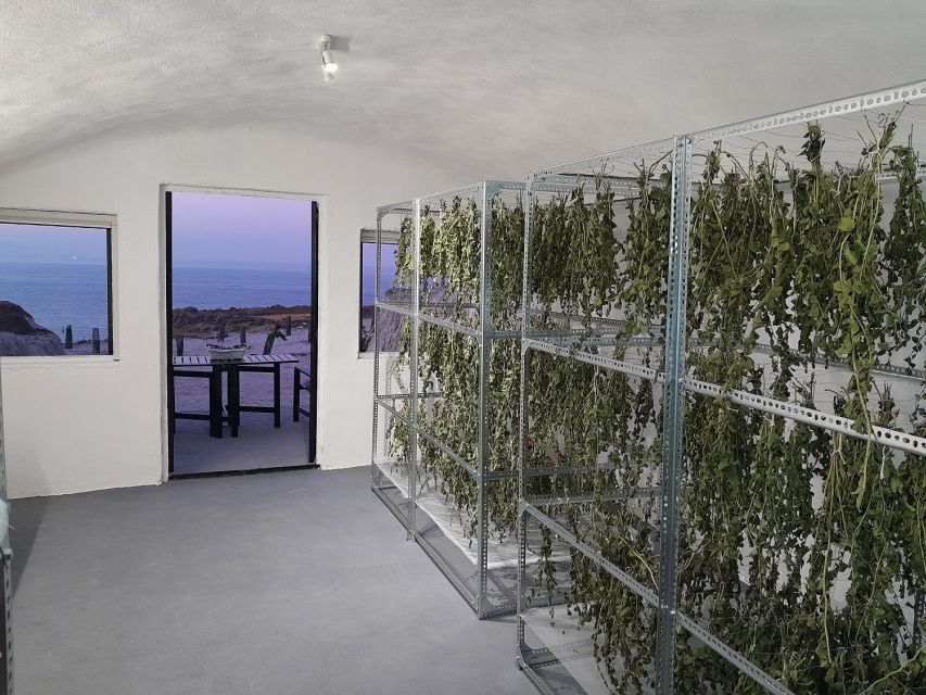 Santorini: Private Olive Oil tasting & Liqueur experience - Key points to know before you book