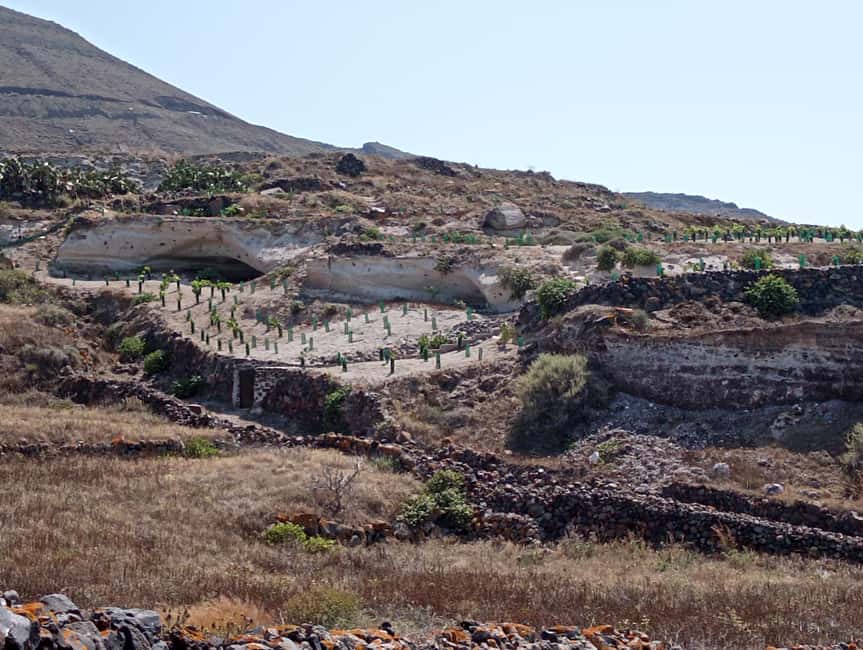 Santorini: Private Olive Oil tasting & Liqueur experience - A quieter side of Santorini near Oia