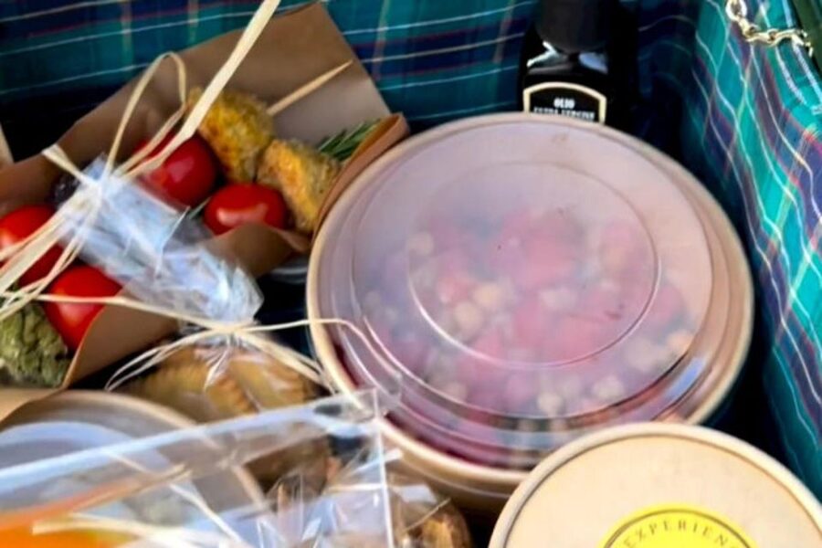 Sardinian Olive Oil tasting & Picnic among the olive trees - Key points to know before booking
