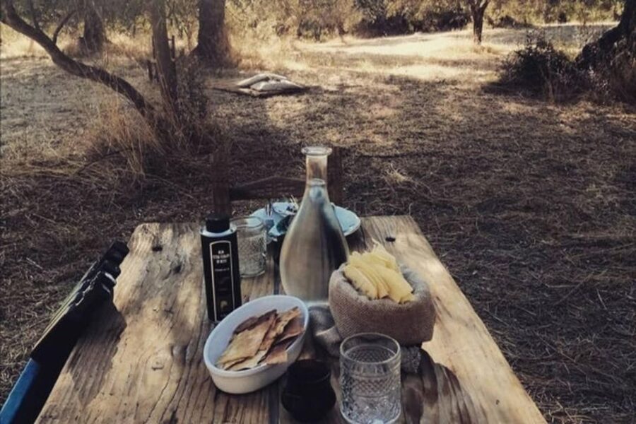 Sardinian Olive Oil tasting & Picnic among the olive trees - Arriving at Sa Mola near Escolca
