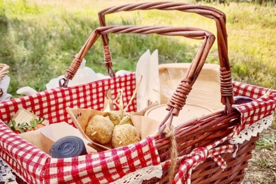 Sardinian Olive Oil tasting & Picnic among the olive trees - What $81 buys you