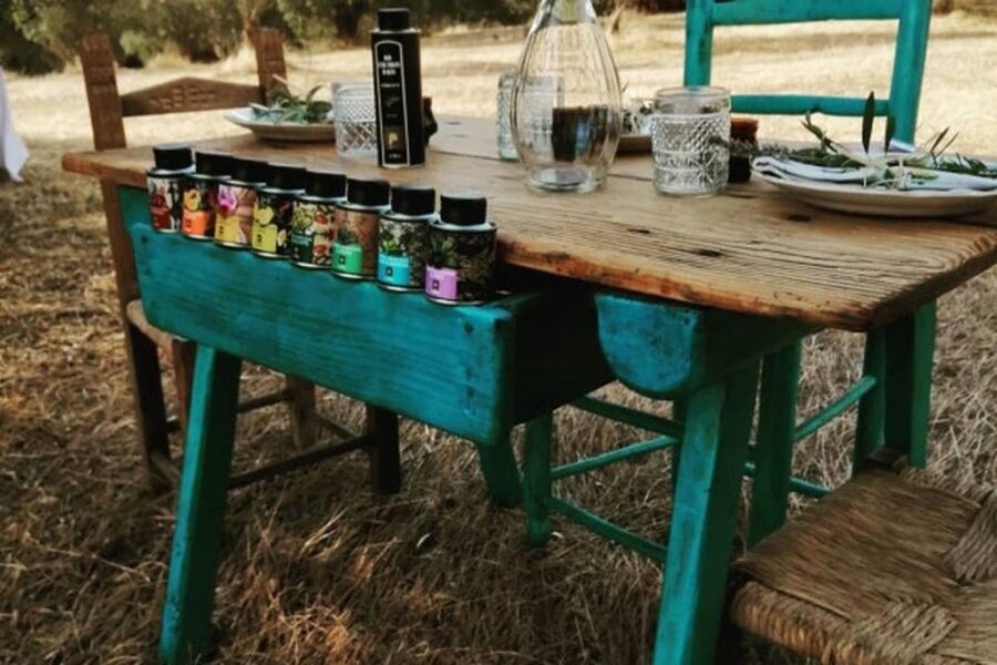 Sardinian Olive Oil tasting & Picnic among the olive trees - The picnic atmosphere and family welcome