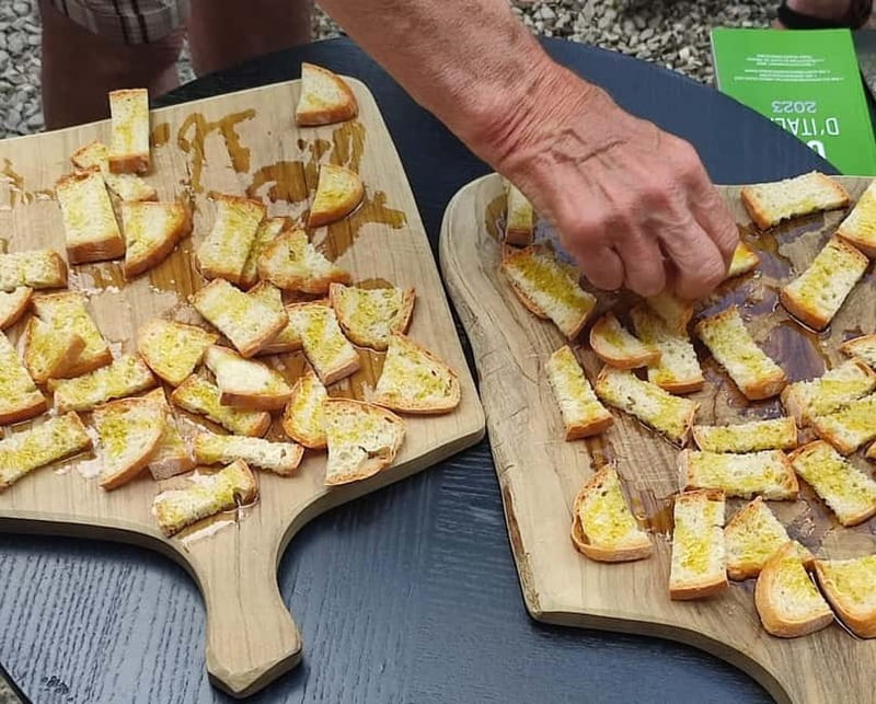 Seggiano: Guided Tour of the Olive Grove and Food Tasting - Three Tuscan Courses With the Oil