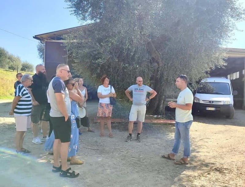 Seggiano: Guided Tour of the Olive Grove and Food Tasting - Should You Book the Seggiano Olive Oil Tour?