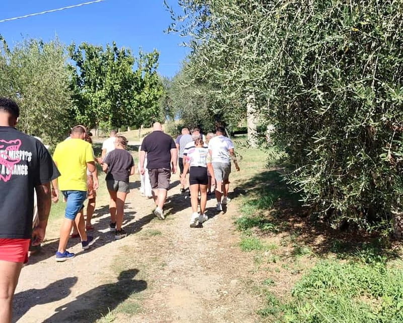 Seggiano: Guided Tour of the Olive Grove and Food Tasting - What You Learn About Extra Virgin Olive Oil