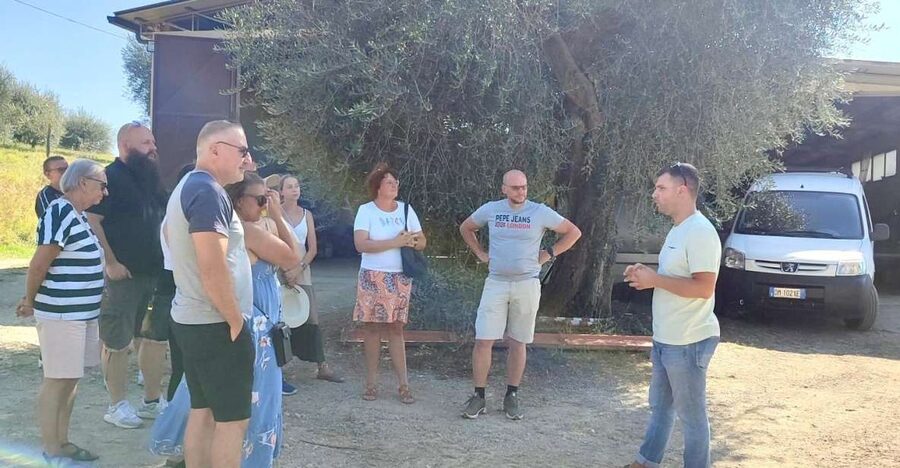 Seggiano: Typical Tuscan Farm Tour with Olive Oil Tasting - Walking through the olive grove