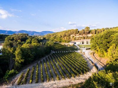 Self tour of the olive oil mill & olive oil tasting