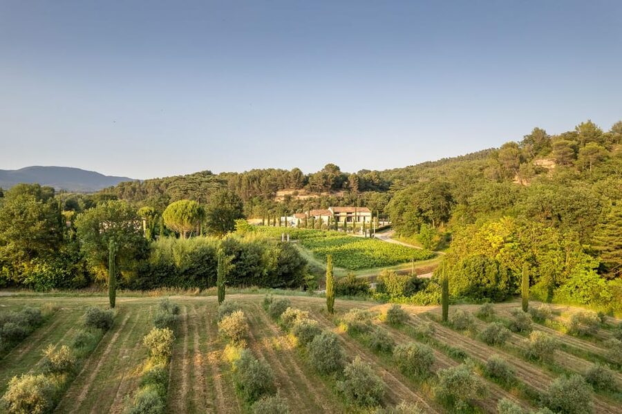 Self tour of the olive oil mill & olive oil tasting - Who will enjoy this experience most