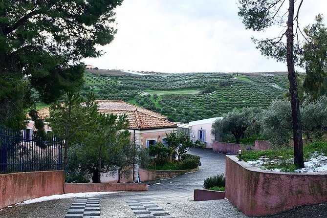 Semi Private Wine and Olive Oil tour (Transfer & Lunch Incl.) - Peza wine country and the three possible wineries