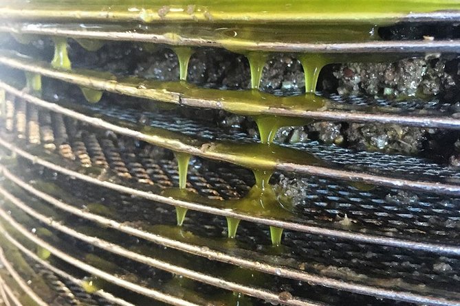 Semi Private Wine and Olive Oil tour (Transfer & Lunch Incl.) - What the small-group format changes