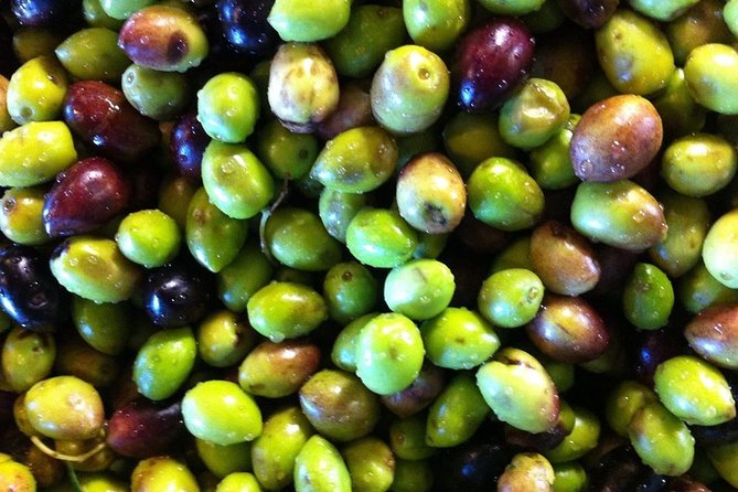 Semi Private Wine and Olive Oil tour (Transfer & Lunch Incl.) - What to bring and what to clarify