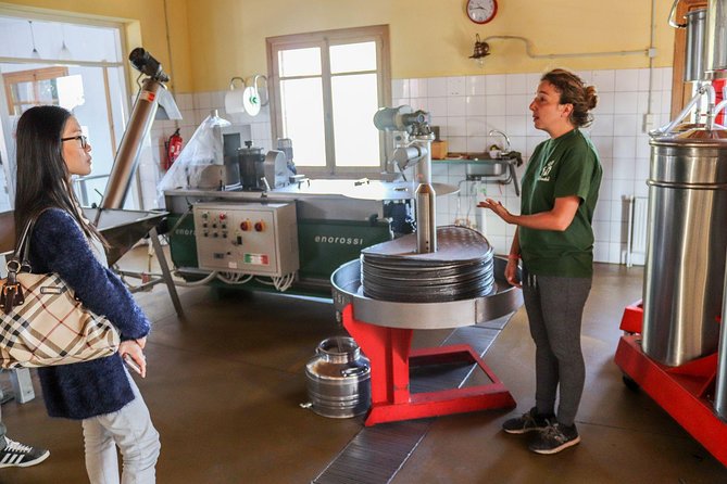 Semi Private Wine, Olive Oil, and Terroir Tour of Heraklion area with Tastings - Key points to know before booking