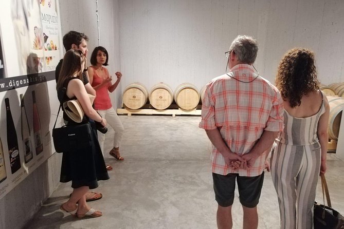Semi Private Wine, Olive Oil, and Terroir Tour of Heraklion area with Tastings - Two hours at Koronekes Olive Mill