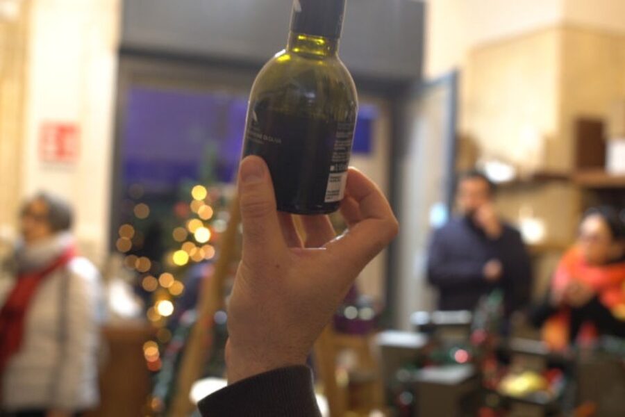 SENSORY TASTING OF EXTRA VIRGIN OLIVE OIL IN LECCE - What the 30-minute schedule feels like