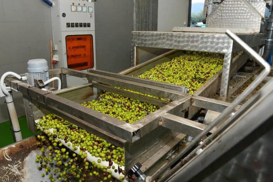 Short Tour of Olympia, an Olive Oil Press & St. Andrew Beach - Key points at a glance