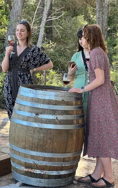 Small group- Exclusive Olive Oil & Wine Tour Mallorca - What the $194 price really covers