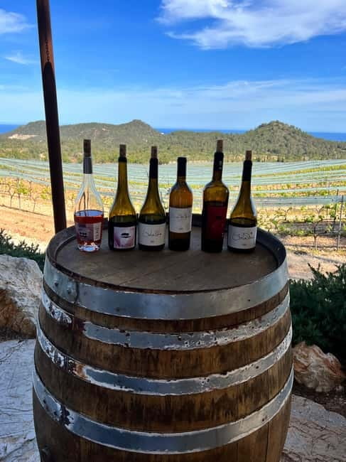 Small group- Exclusive Olive Oil & Wine Tour Mallorca - Who will enjoy this day most