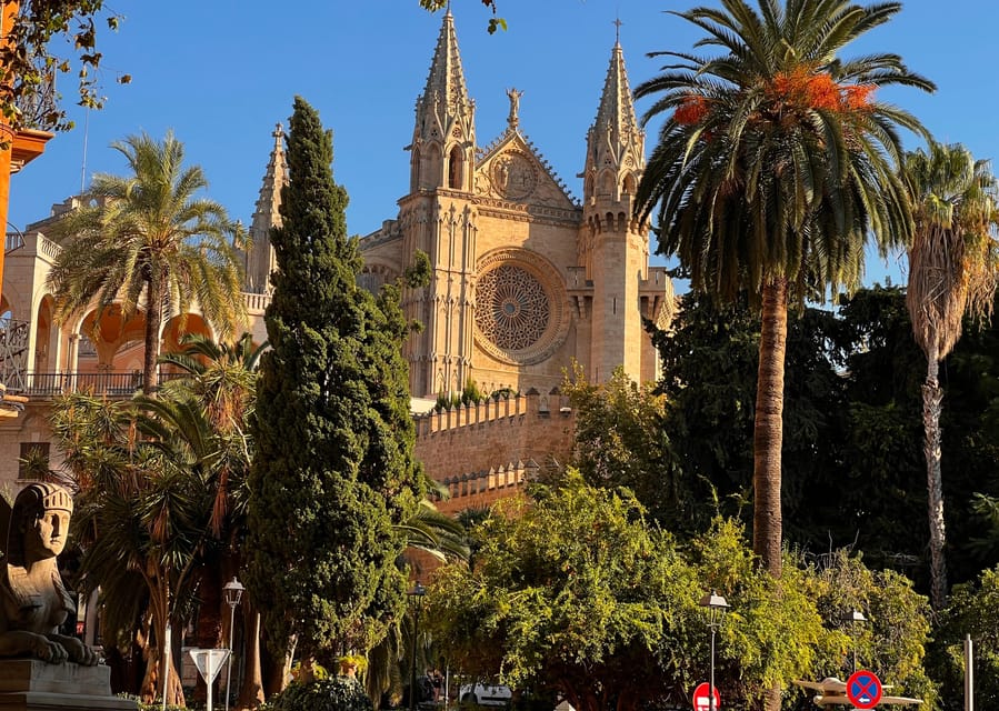 Small group- Exclusive Olive Oil & Wine Tour Mallorca - The strongest part of the experience