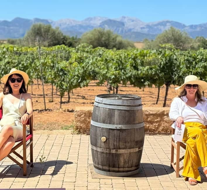 Small group- Exclusive Olive Oil & Wine Tour Mallorca - A two-hour visit to a traditional olive oil mill