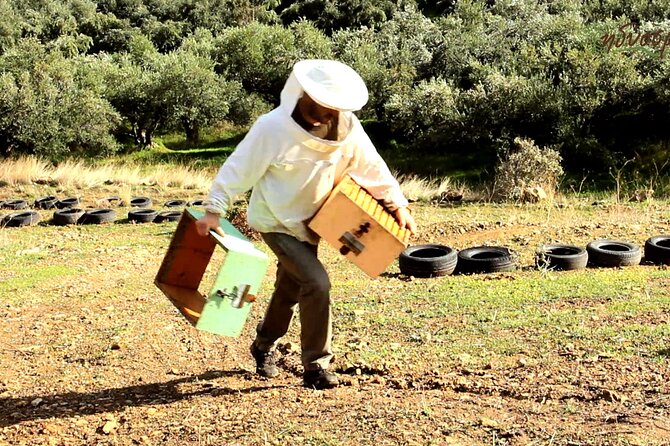 Small-Group Honey & Extra Virgin Olive Oil Tasting Tour in Crete - Key points to know before booking