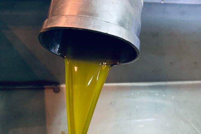 Small-Group Honey & Extra Virgin Olive Oil Tasting Tour in Crete - What the production visit covers