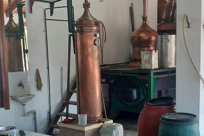 Small Group: Knossos, Olive Oil, Winery & Raki with Lunch - Why this Crete day works so well