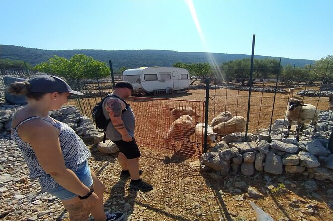 Small-Group Olive Oil Tour in Cres with Tasting - Weather, cancellations, and planning advice