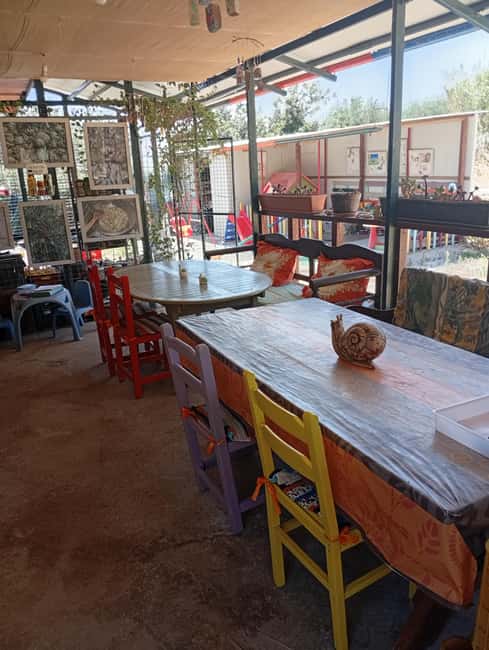 Snail and olive farm tour with table olives & homemade sweet - Key points at a glance