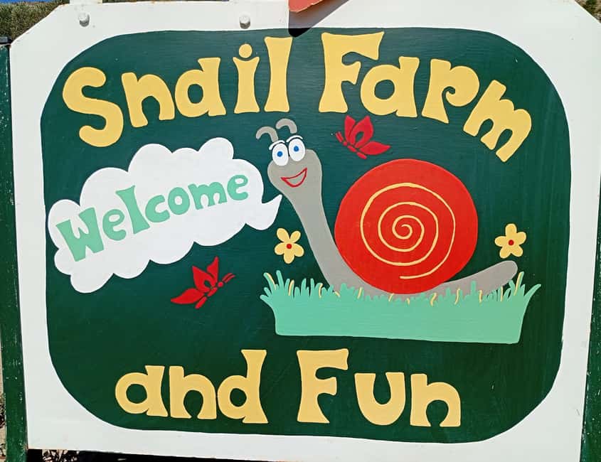 Snail and olive farm tour with table olives & homemade sweet - Inside the cool snail greenhouse