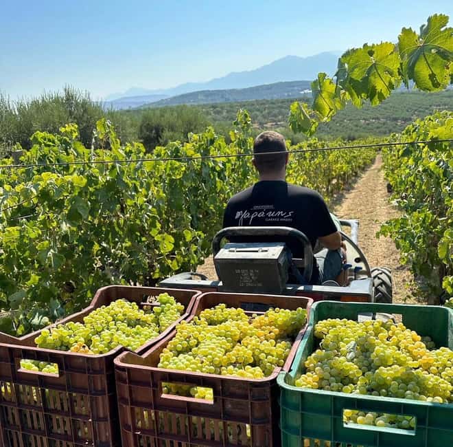 Soap, Wine, Raki, Olive Oil, Meet the local Producers Tour - Key points to know before booking