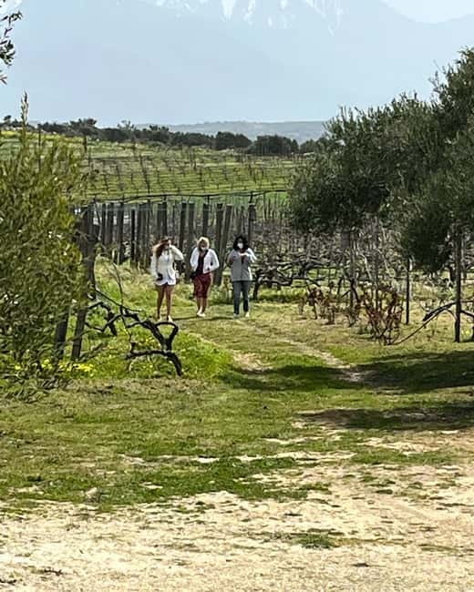 Soap Workshop, Olive Oil, Lyrarakis Winery and Lunch at Peza - Key points to know before booking