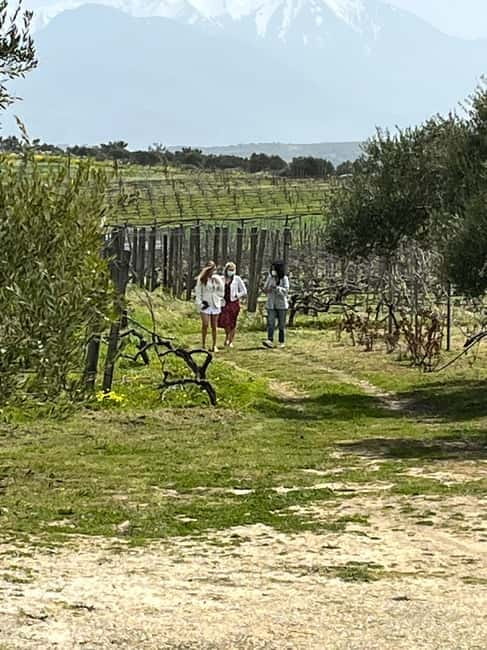 Soap Workshop, Olive Oil, Lyrarakis Winery and Lunch at Peza - Lunch at Peteinos Alaniaris in Peza