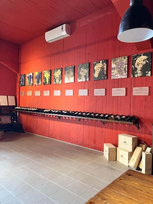 Soap Workshop, Olive Oil, Lyrarakis Winery and Lunch at Peza - Is $212 per person a fair price?