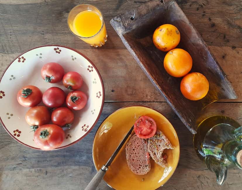 SOLLER: Olive Grove Experience, Oil Tasting & Picnic in the Tramuntana - Walking among centuries-old olive trees