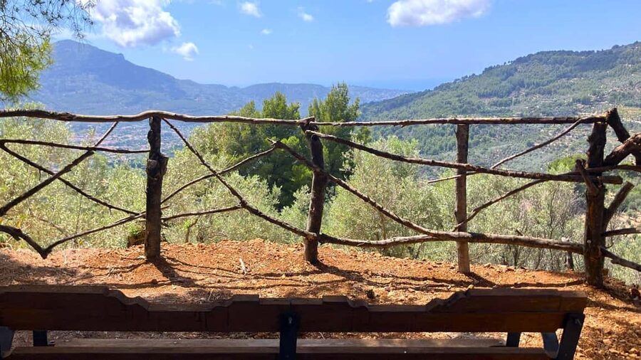 SOLLER: Olive Grove Experience, Oil Tasting & Picnic in the Tramuntana - Is $29 good value?