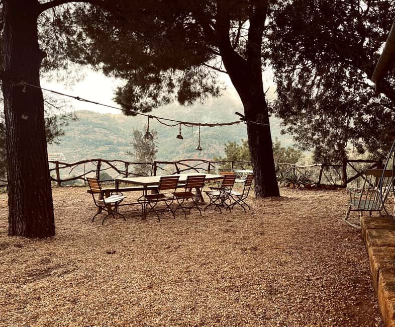 SOLLER: Olive Grove Experience, Oil Tasting & Picnic in the Tramuntana - Who should book this experience?