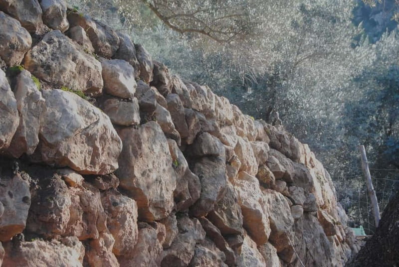 SOLLER: Olive Grove Experience, Oil Tasting & Picnic in the Tramuntana - Arriving at Es Seregalls near Sóller